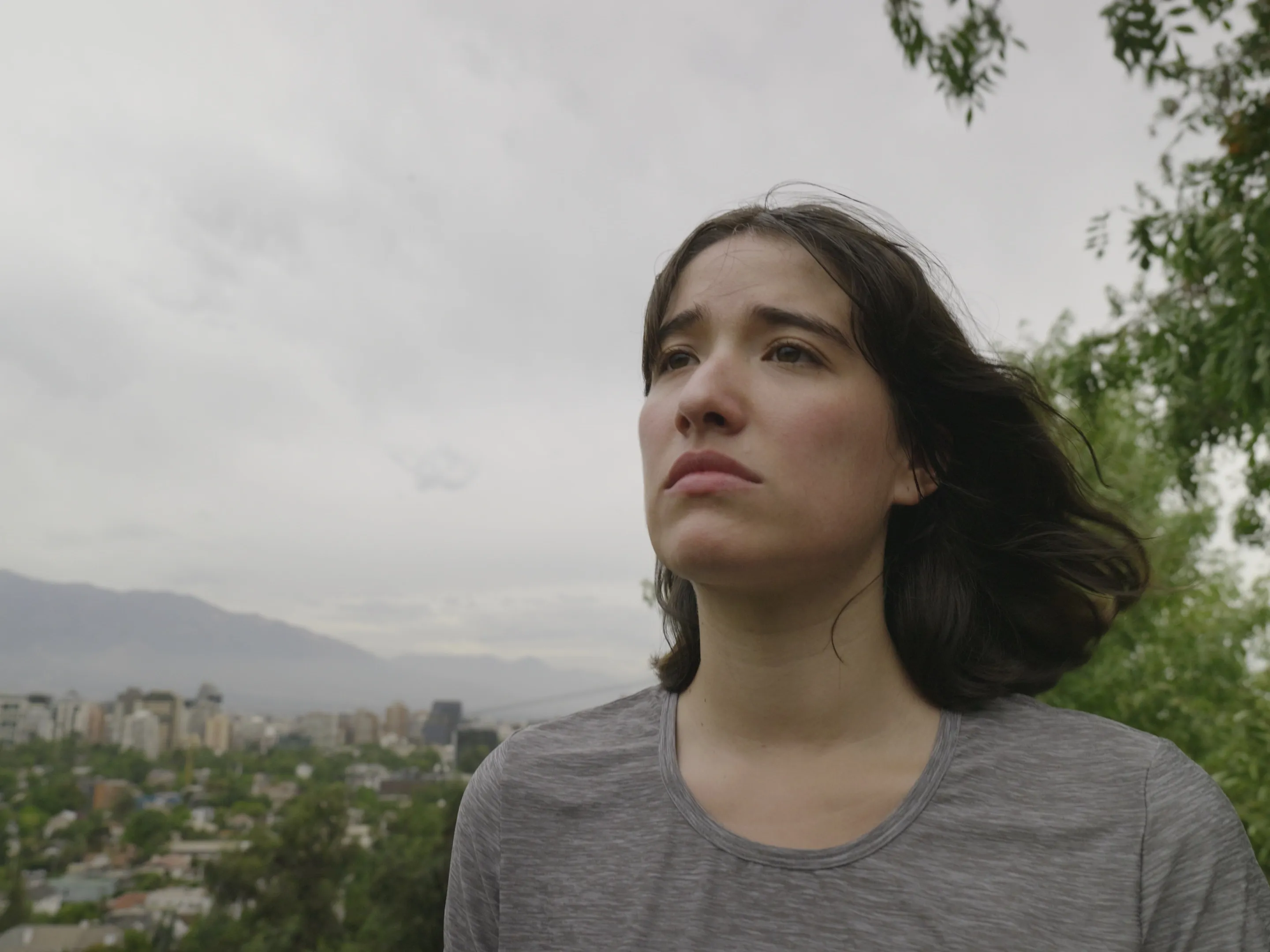 Future Chile - foto 2