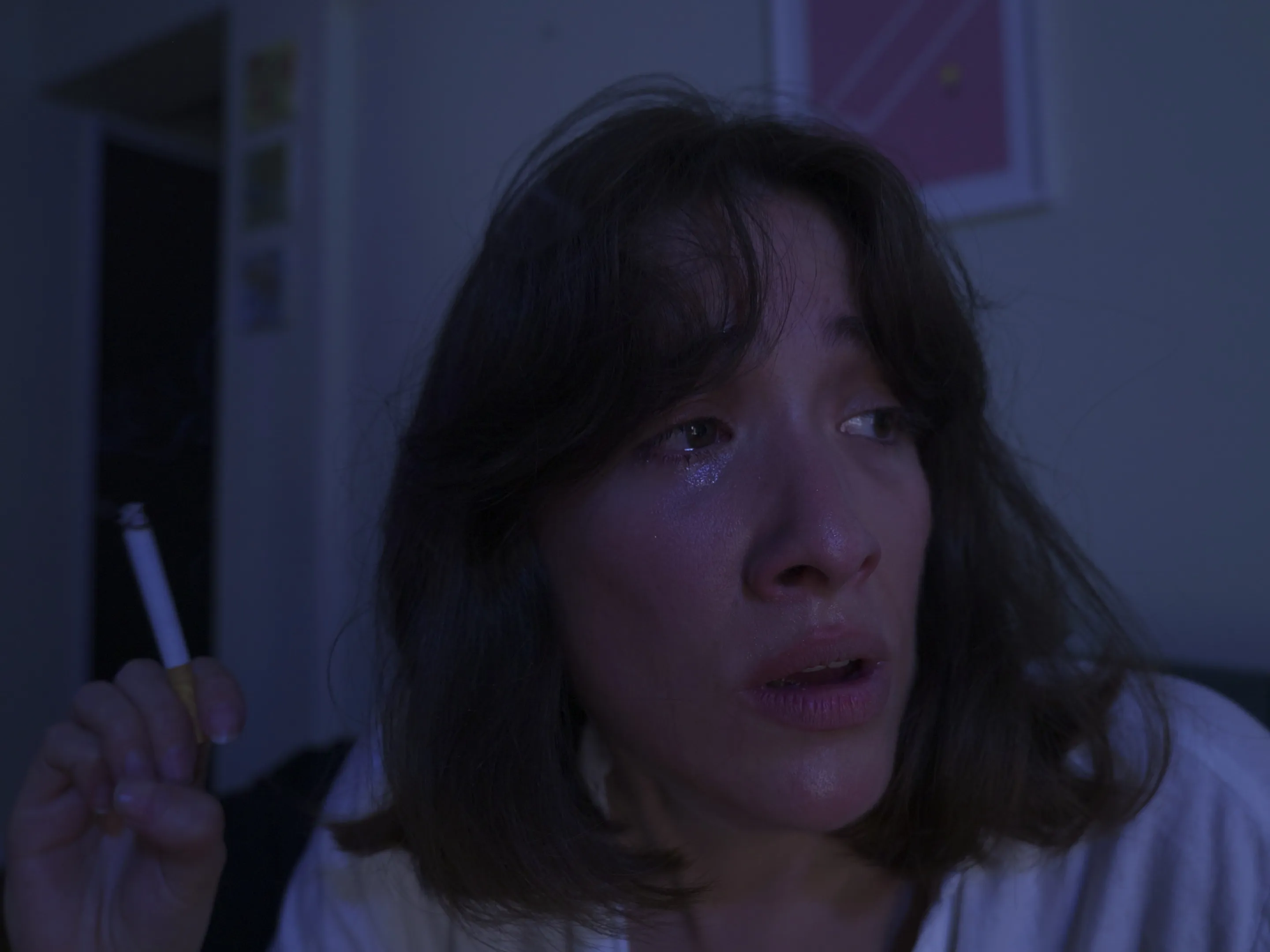 Future Chile - foto 3