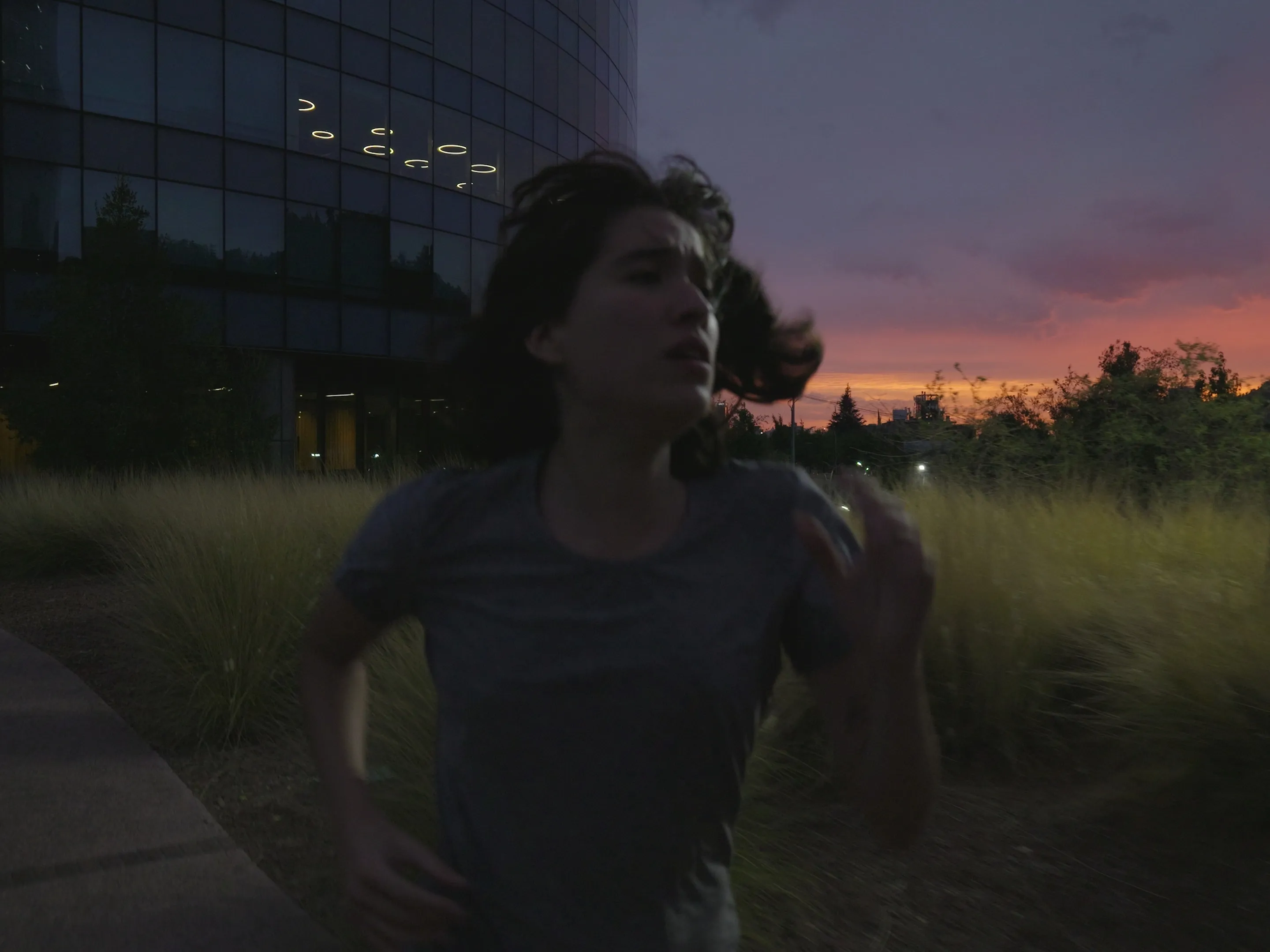 Future Chile - foto 5