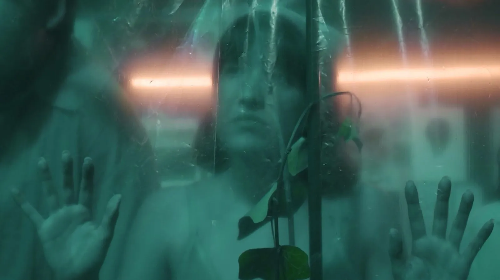 Era Una Vez Un Bosque - foto 4